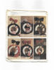 Picture of XX9 McCALL'S 3881: SEASONAL WREATHS